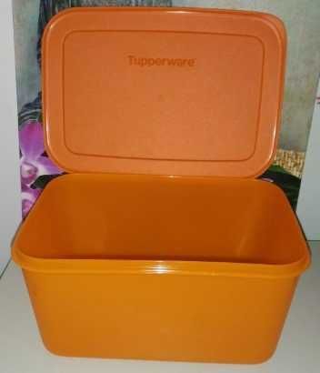 Congeladora 2.5L Tupperware