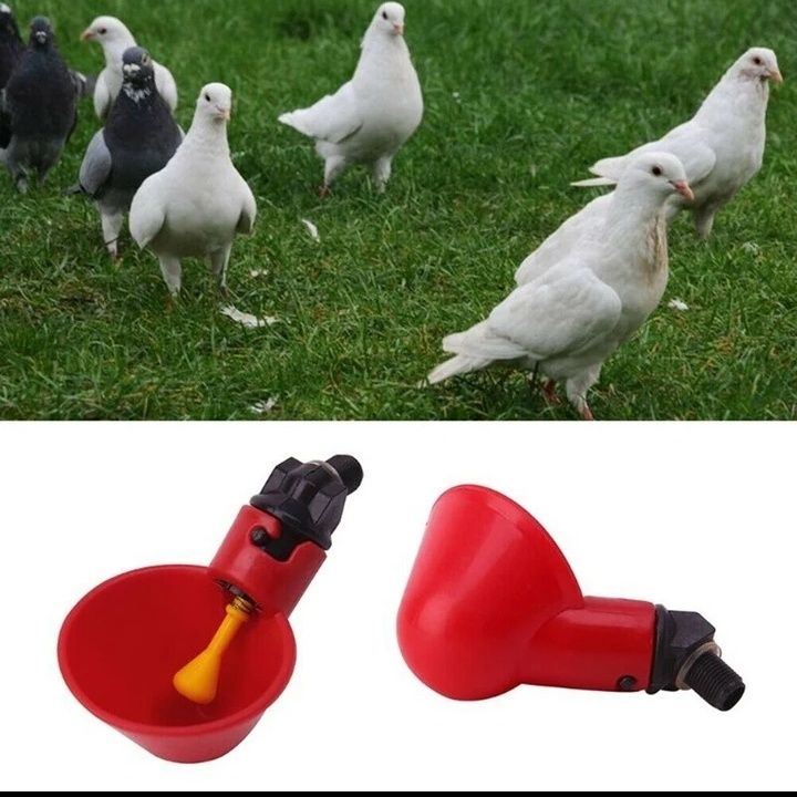 Bebedouros automáticos para aves