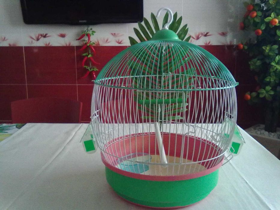 Gaiola completa em excelente estado