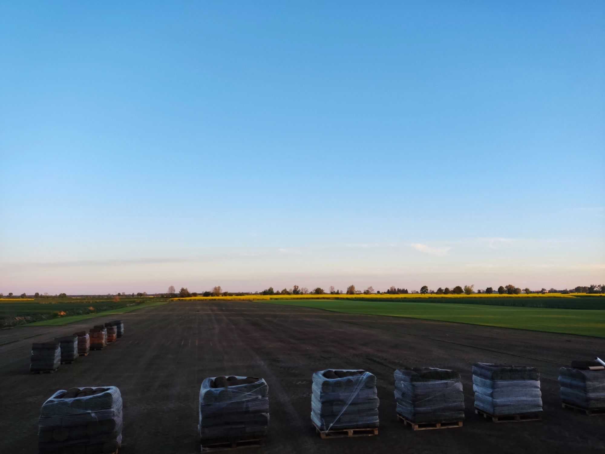 Trawa z rolki PREMIUM 40m2 z dostawa