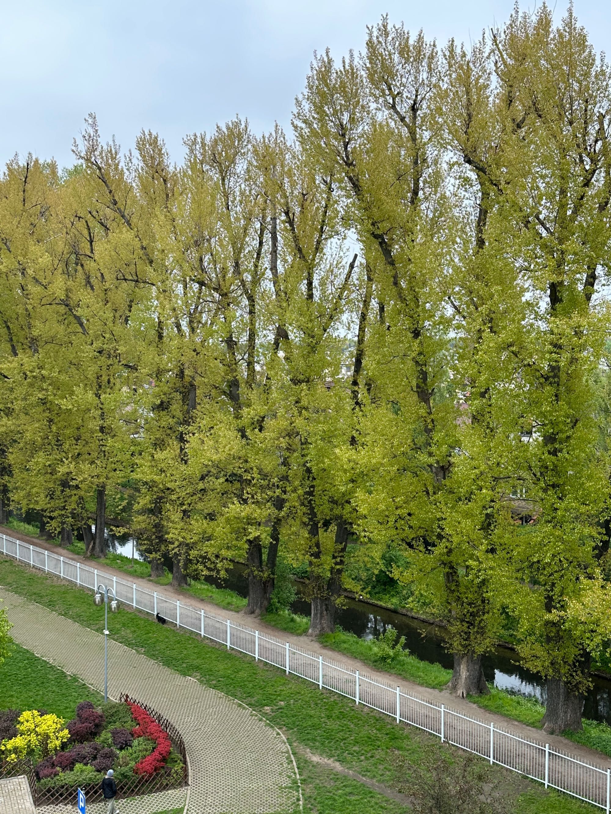 Mieszkanie metro Kondratowicza Osiedle Zielone Zacisze