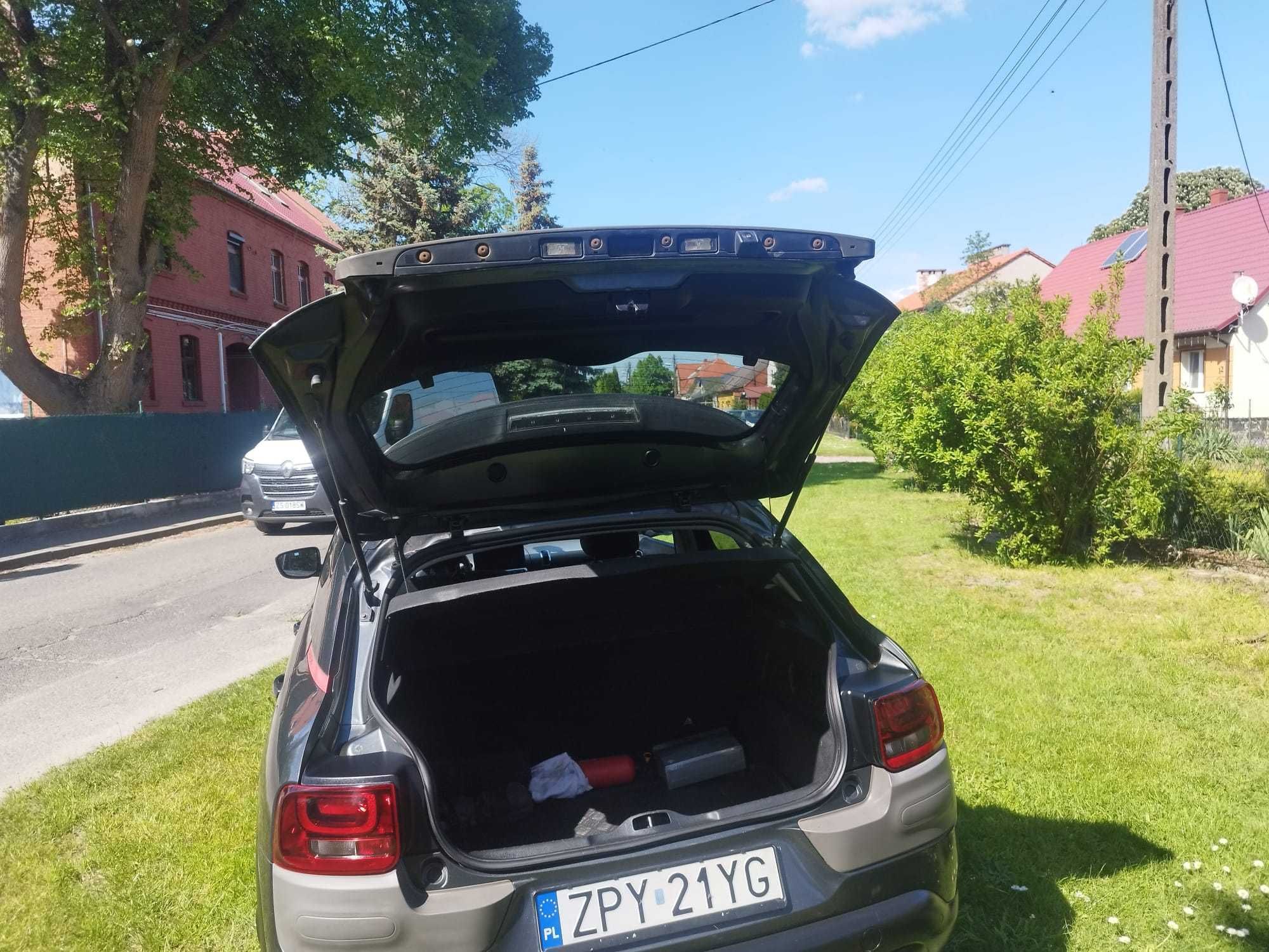 Citroen C4 Cactus