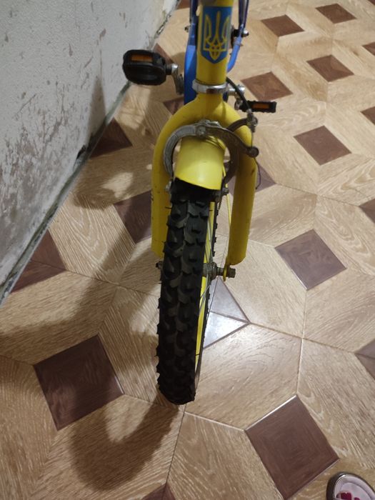 Велосипед у патріотичних кольорах