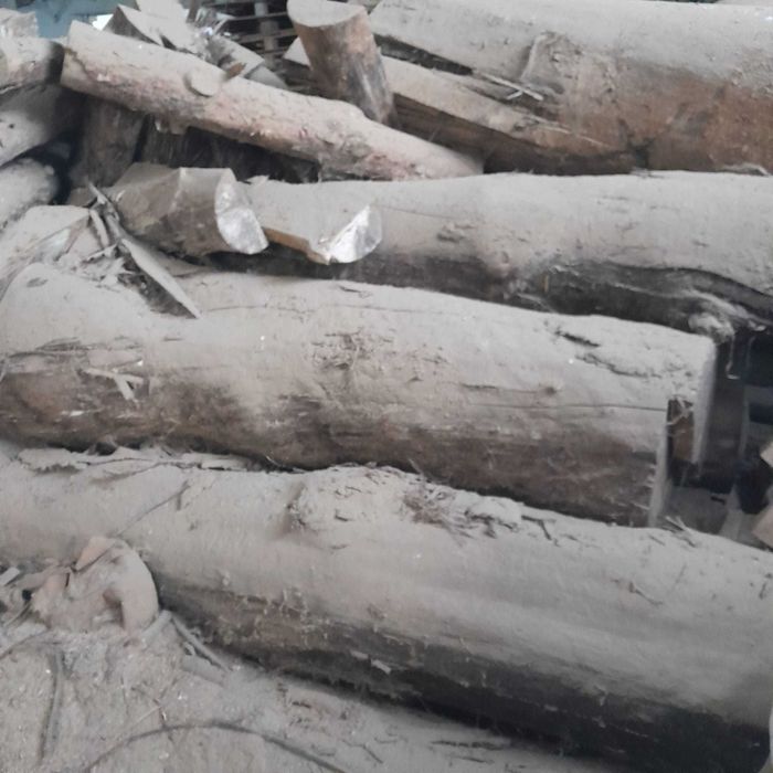 Drewno sosnowe leżakowane