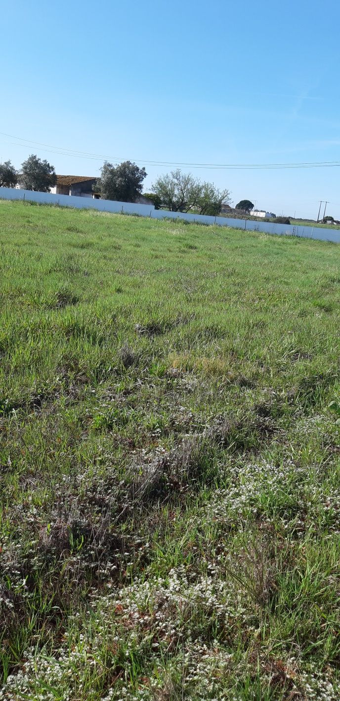 Terreno Urbano 100,000m2