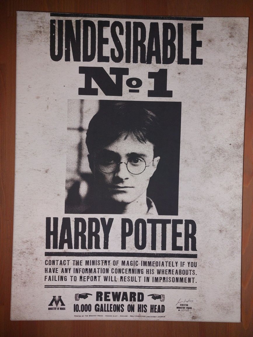 Tela / Quadro 40x30x2 Cm Harry Potter - Wanted (Como Novo)