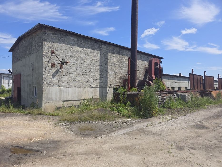 Цех виробництво шпону