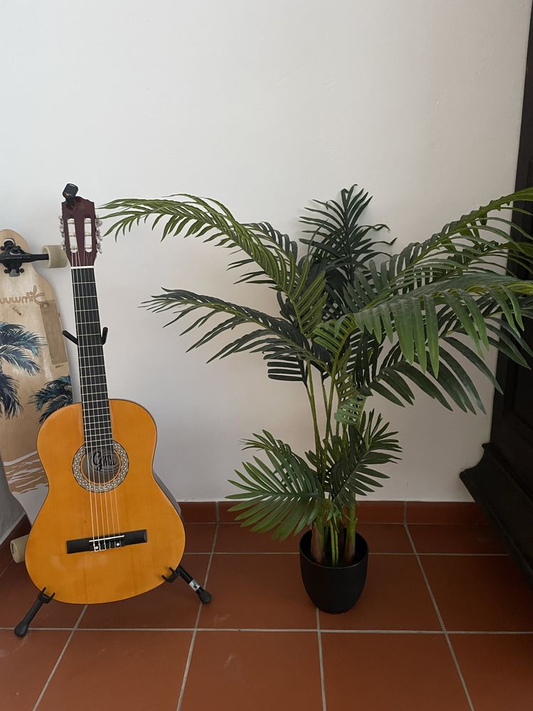 Planta decorativa