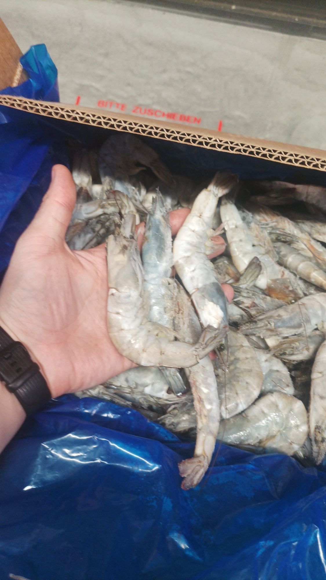Креветка Ваннамей 20/30 и не только