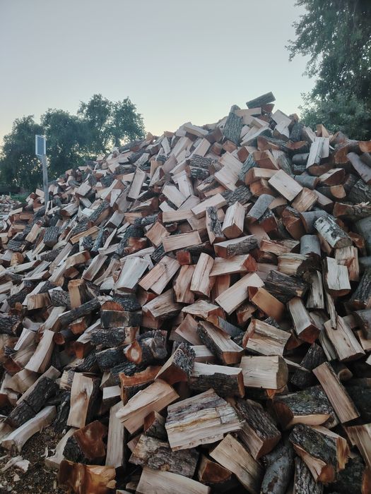 Dąb, Brzoza, Buk, Jesion, Sosna- drewno kominkowe, opałowe
