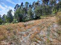 Terreno para Construção em Travassós, Fafe