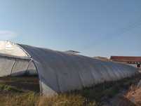 Estufas agrícolas