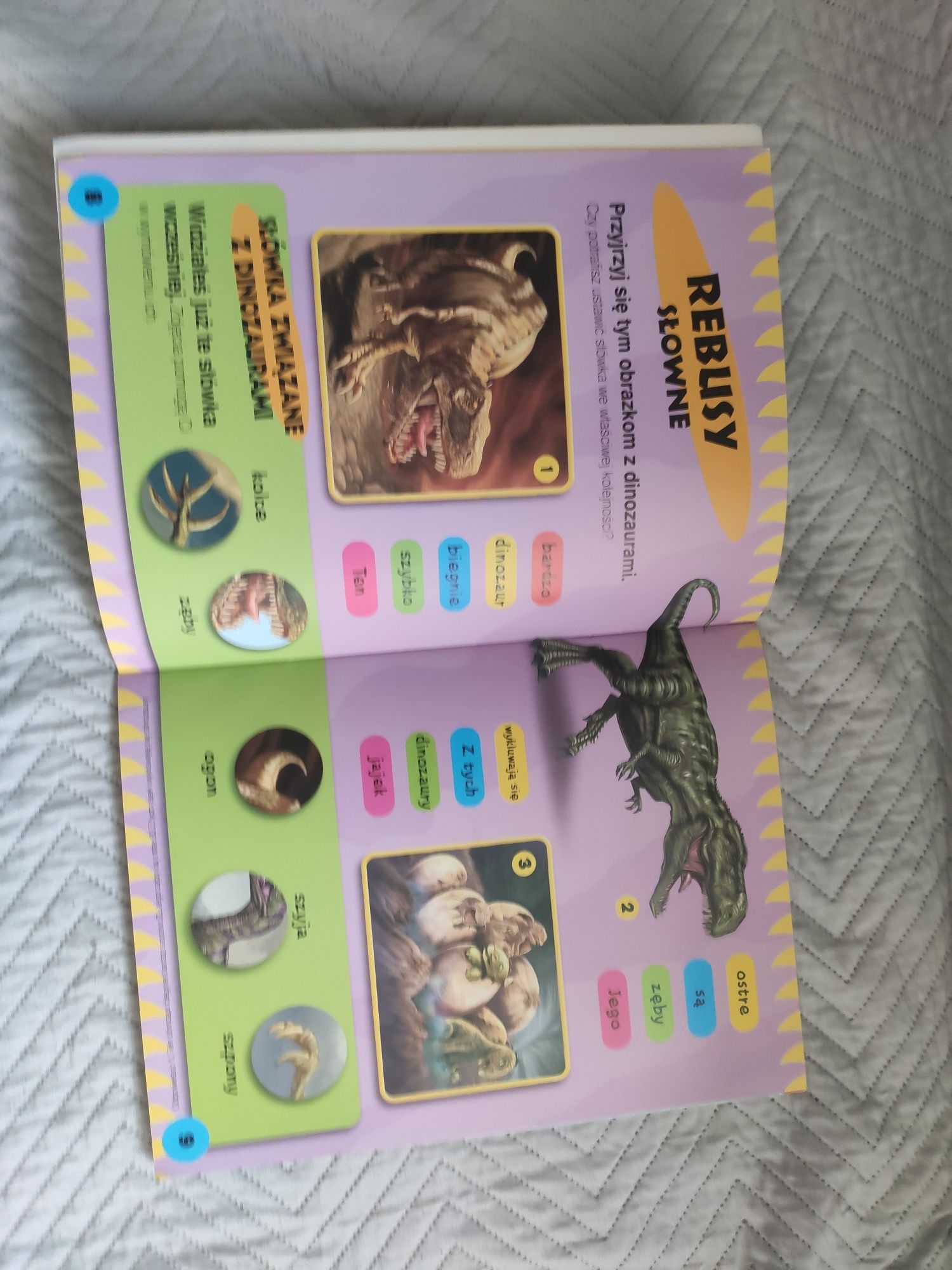 Dinozaury książka z zadaniami dla przedszkolaków
