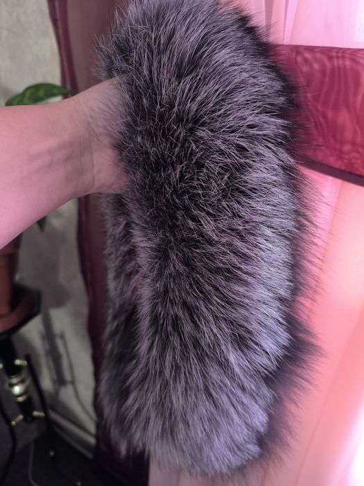 Розкішне хутро чорнобурки