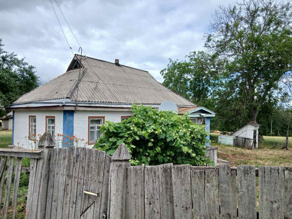 Продам будинок в мальовничому селі