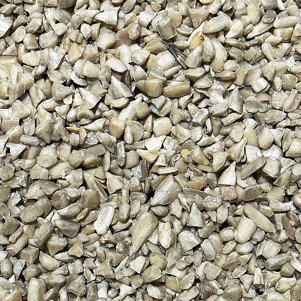 14kg SŁONECZNIK ŁUSKANY 99% ziarno na zimę karma zimowa Champi