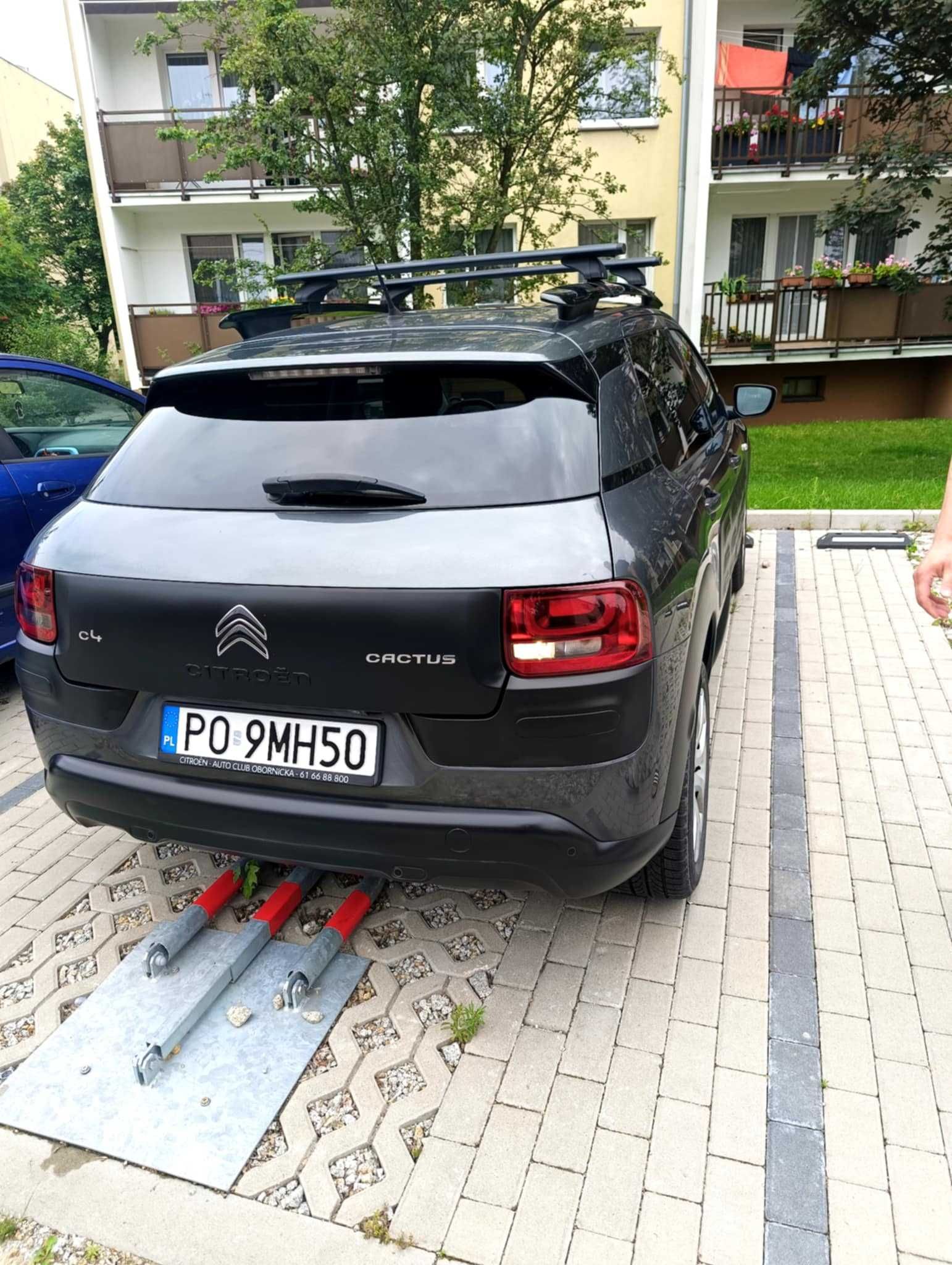 Citroen C4 Cactus