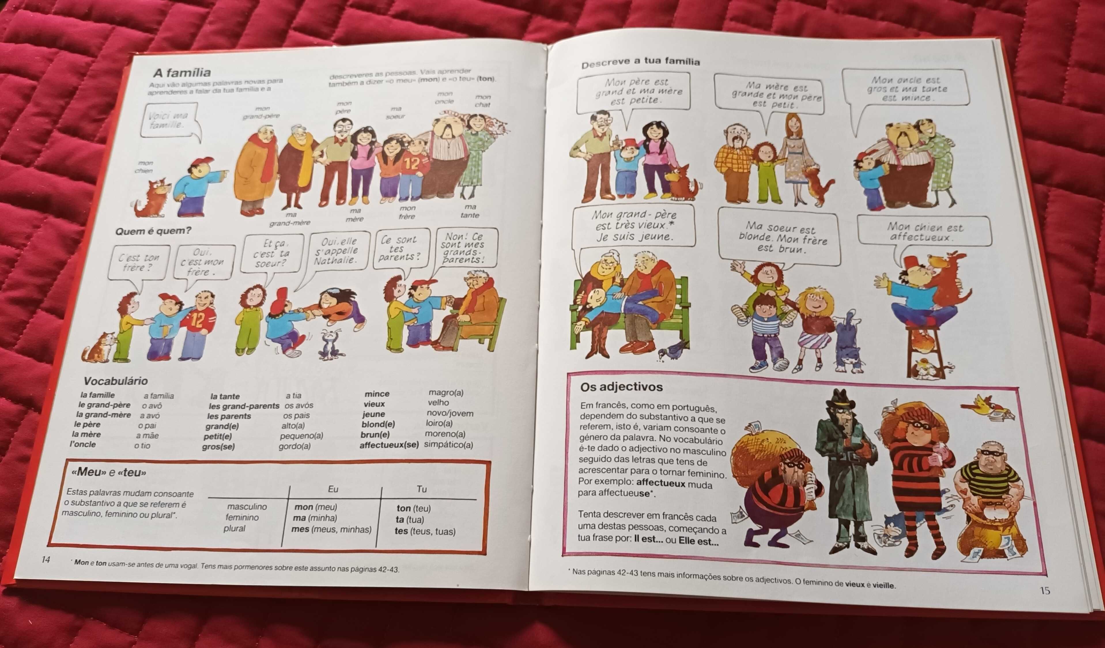 Livro - Francês para principiantes