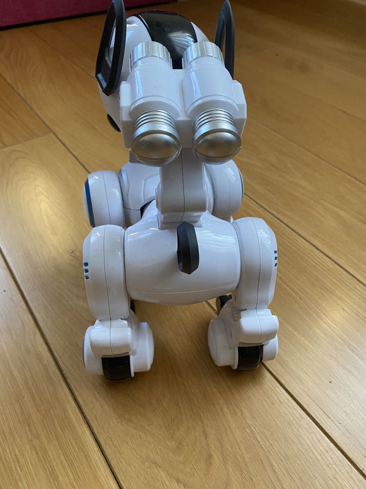 Robot Interaktywny Pies Zdalnie Sterowany Programowanie