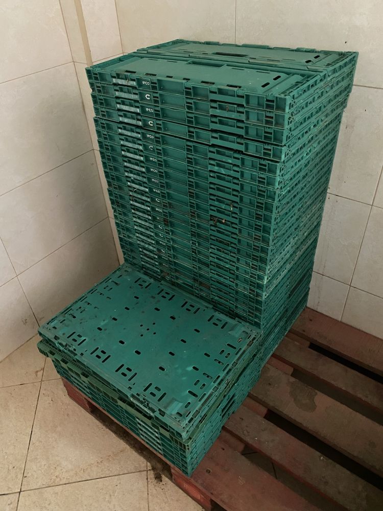 Caixas verdes plásctico