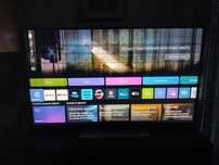 Telewizor LG 55QNED813RE uszkodzona matryca