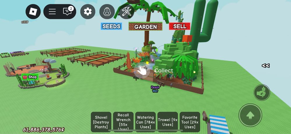 Акаунт в grow a garden з 2 candy blossom