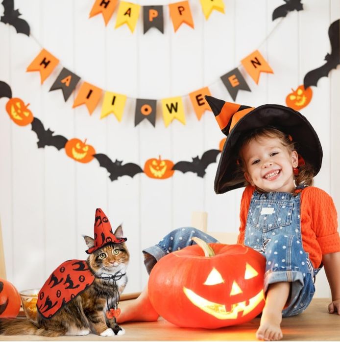 Kostiumy na Halloween dla psa - Peleryna kostiumowa z czapką