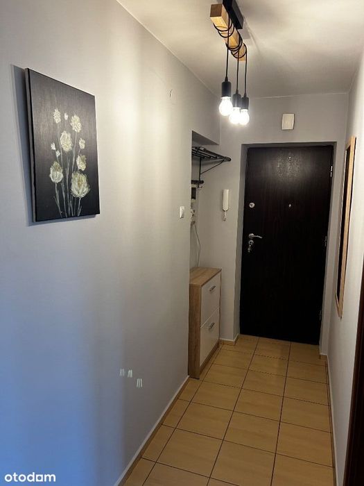 Wynajmę lokal mieszkalny w Zabrzu