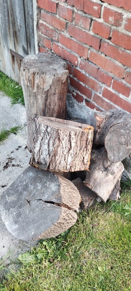 Sprzedam pniak, pień, kloc, klocki drewna