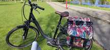 Rower elektryczny Bosch active line