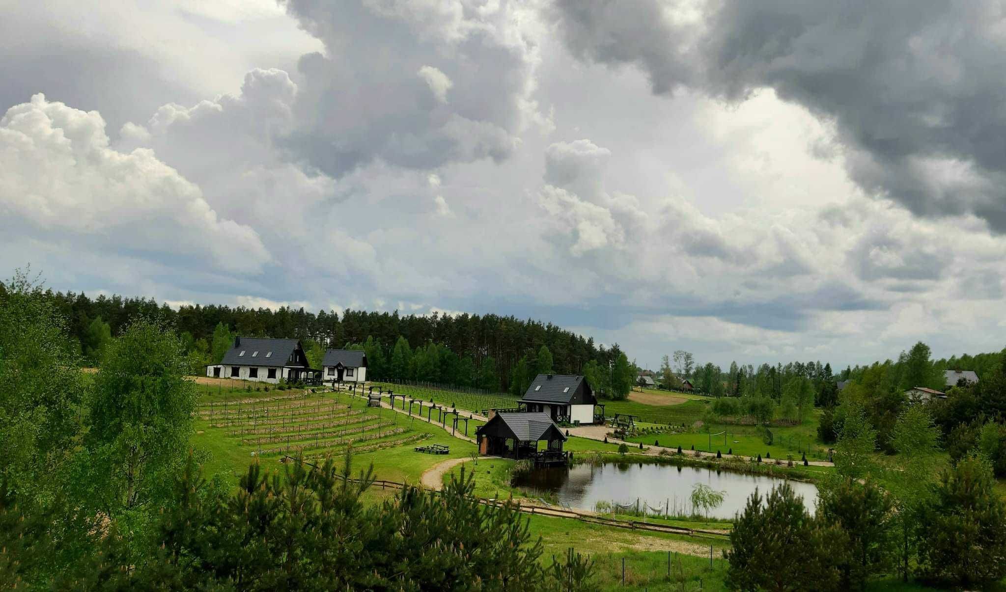 Dom z basenem i sauną na Kaszubach