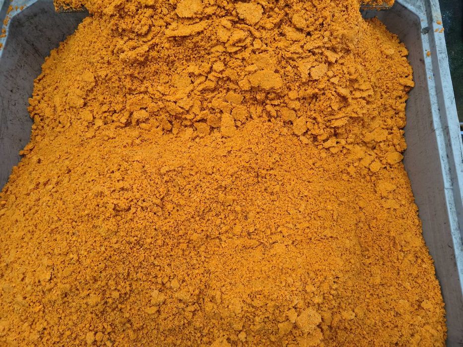 Młóto kukurydziane – duże ilości