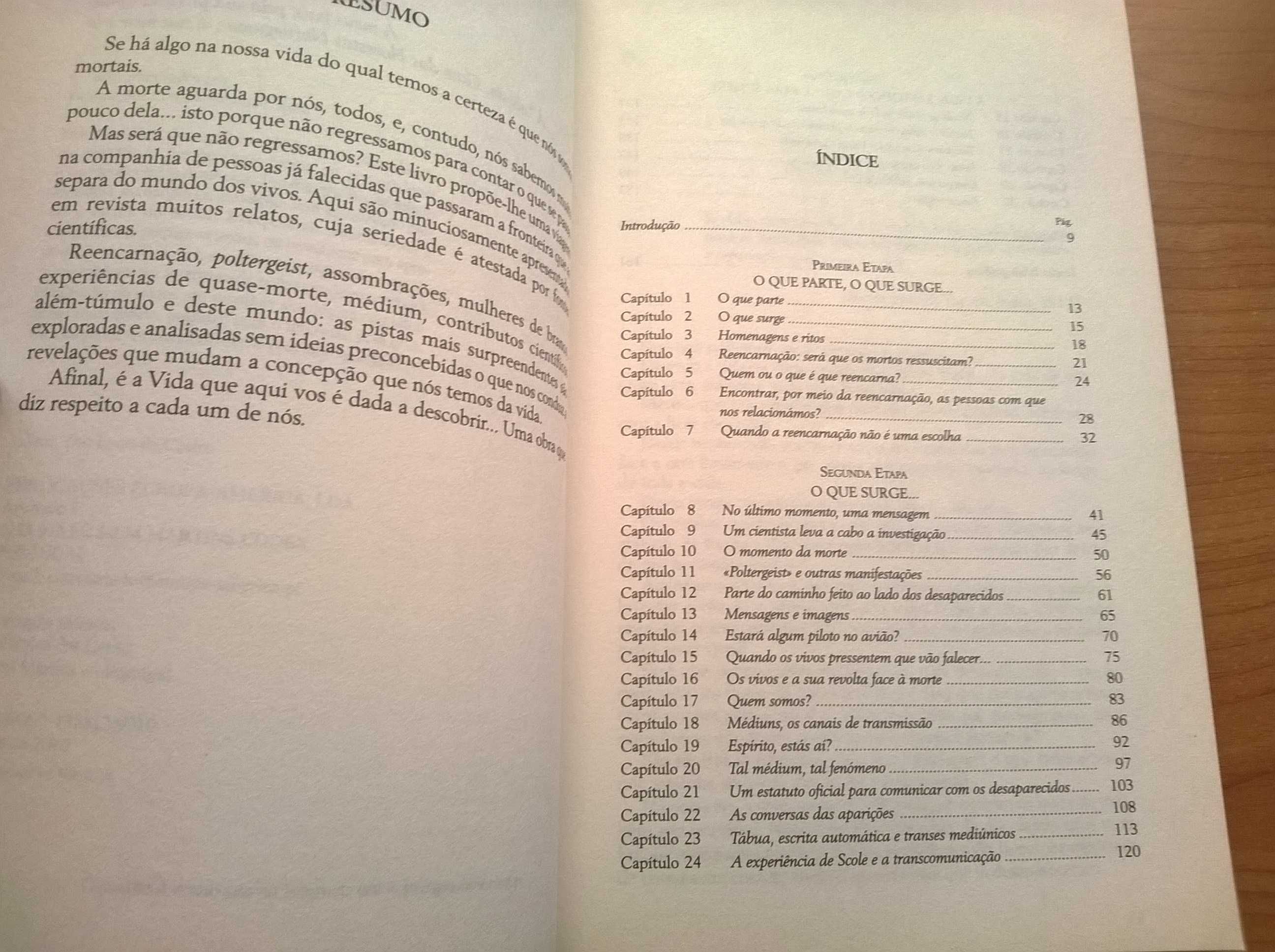 Como Falar Com os Seus Entes Desaparecidos - Patricia Chirot