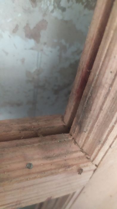 Двері міжкімнатні дерево