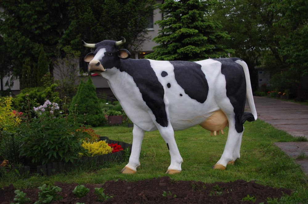 Figura Krowa 147x220cm nowa Fv