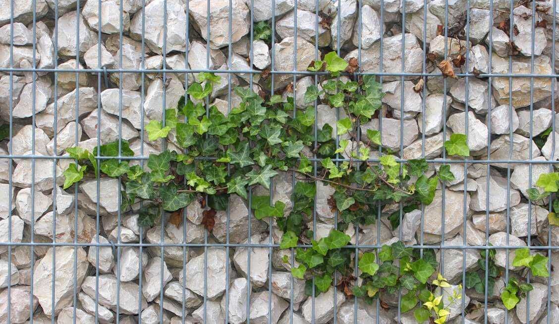 KOSZ GABIONOWY gabion 100x50x50 cm gabiony kosze gabionowe na kamienie