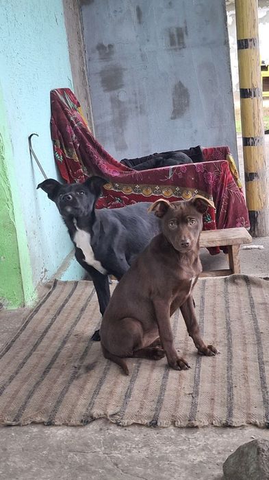 Шукає люблячу сім'ю