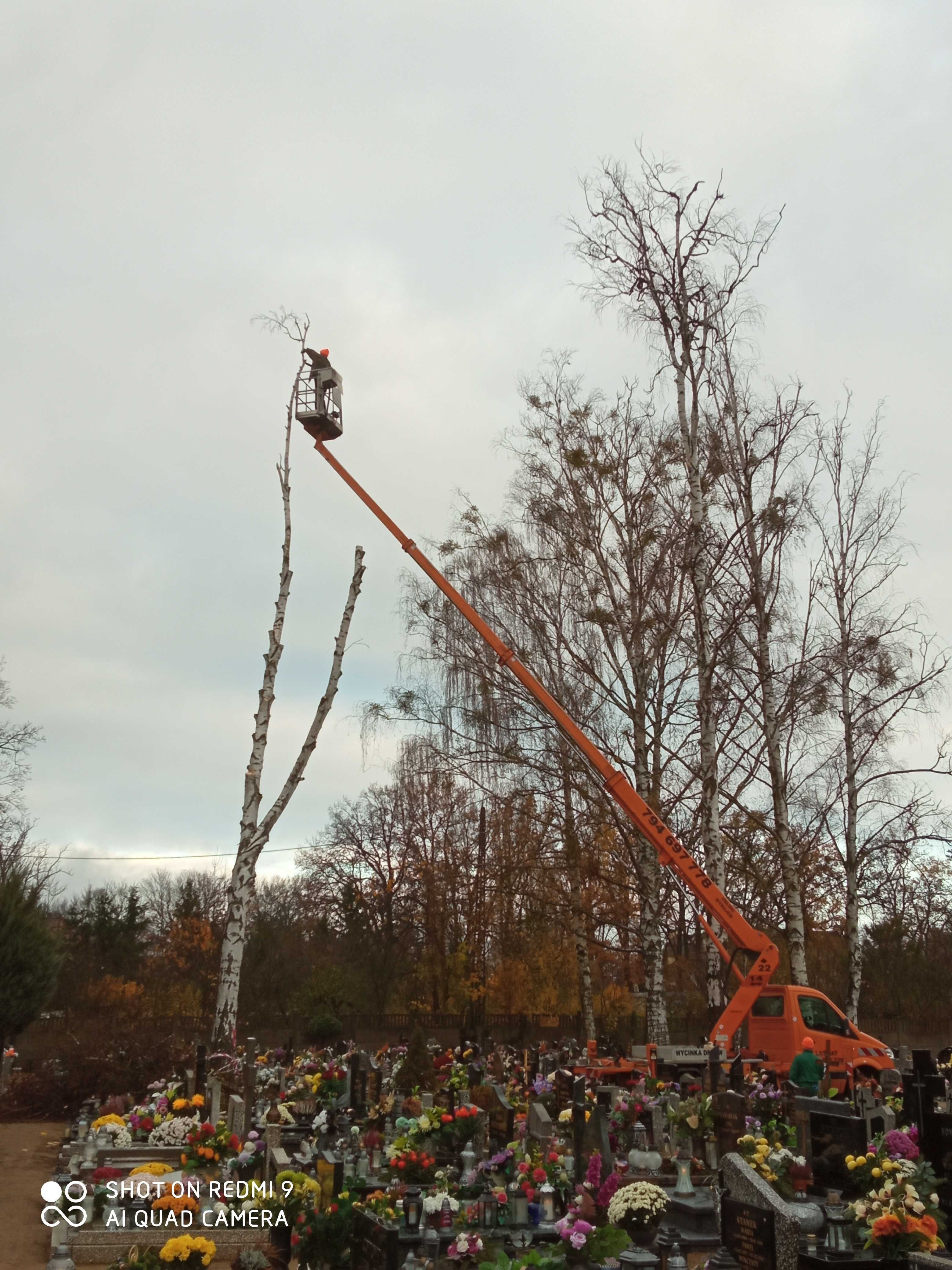 Wycinka drzew frezowanie pni podnośnik koszowy 22m zwyżka rębak