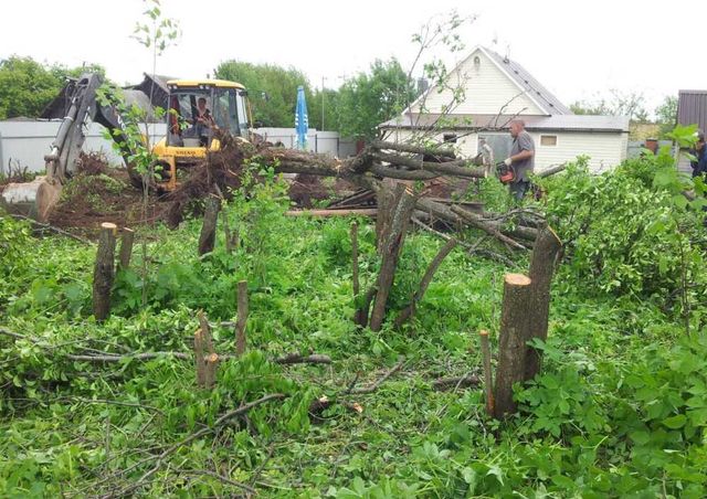 Зрізання Выкорчевка дерев Розчищення ділянок Участка Демонтаж Вывоз