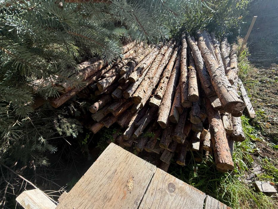 stemple drewniane 3,9 m