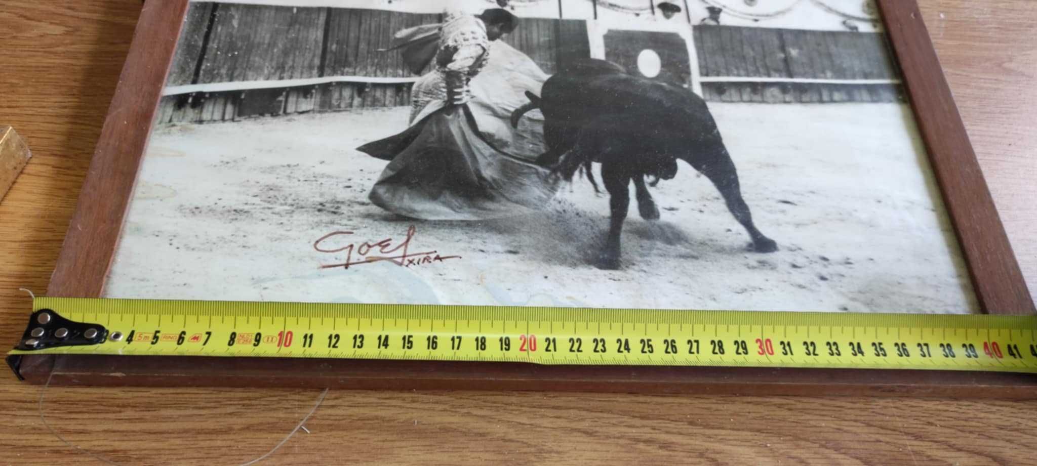 Tauromaquia quadros - preços variáveis