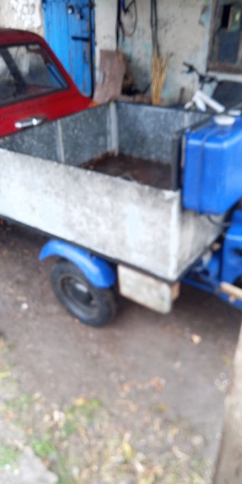 Продаи муравей вробочобустои