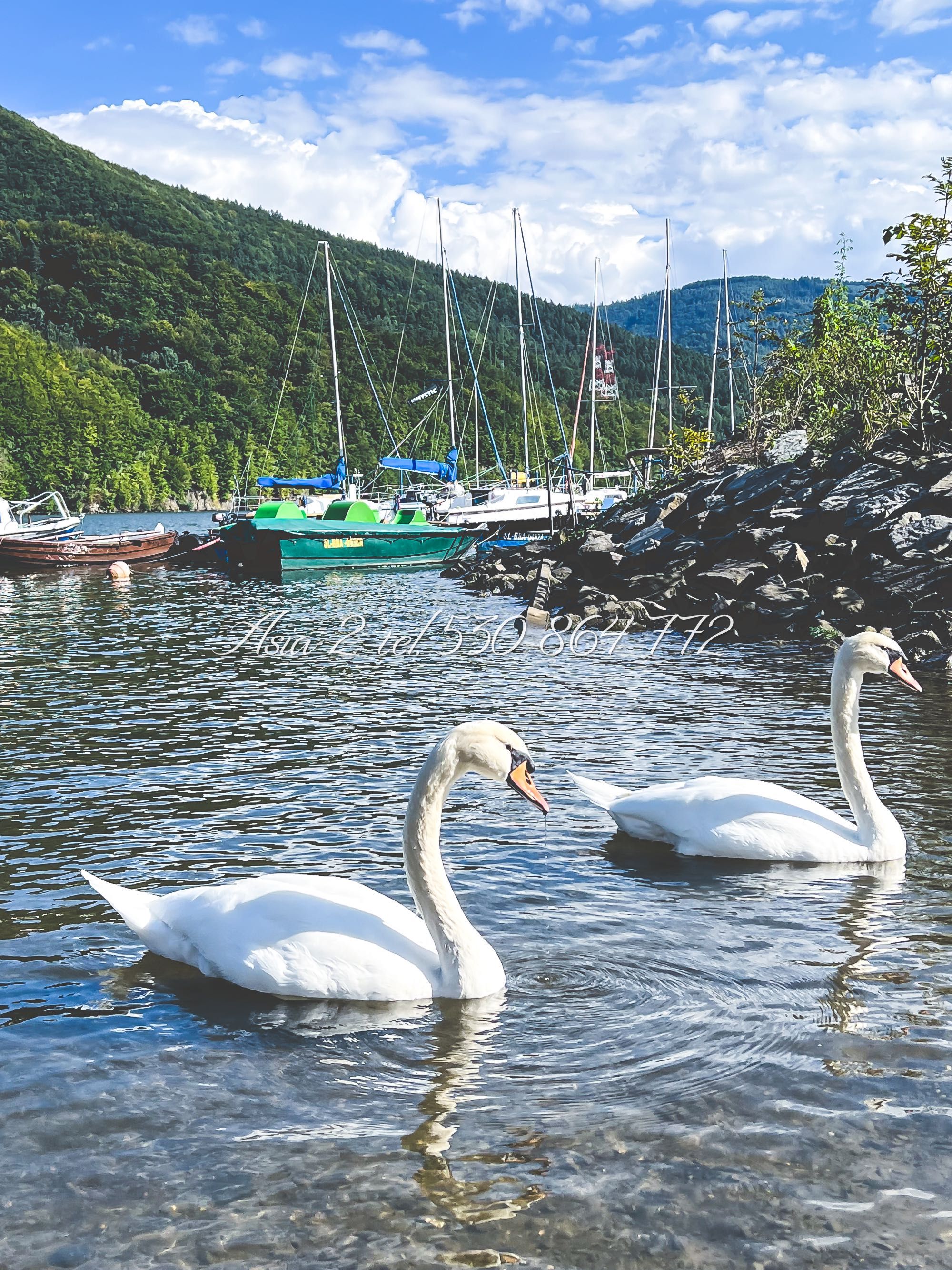 Domek letniskowy Międzybrodzie Bialskie jezioro góry Żar Beskid nocleg