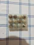 Ovos codorniz para consumo ou incubação