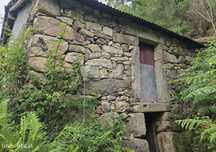 Terreno  para venda