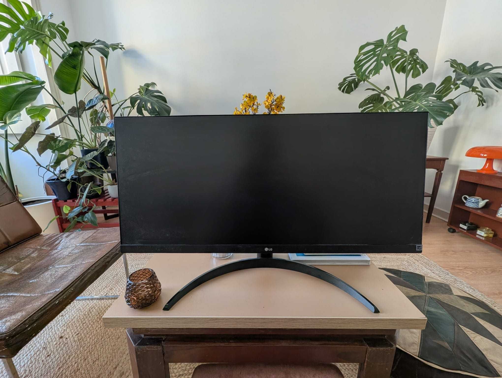 Monitor LG 29" Ultrawide 29WL500