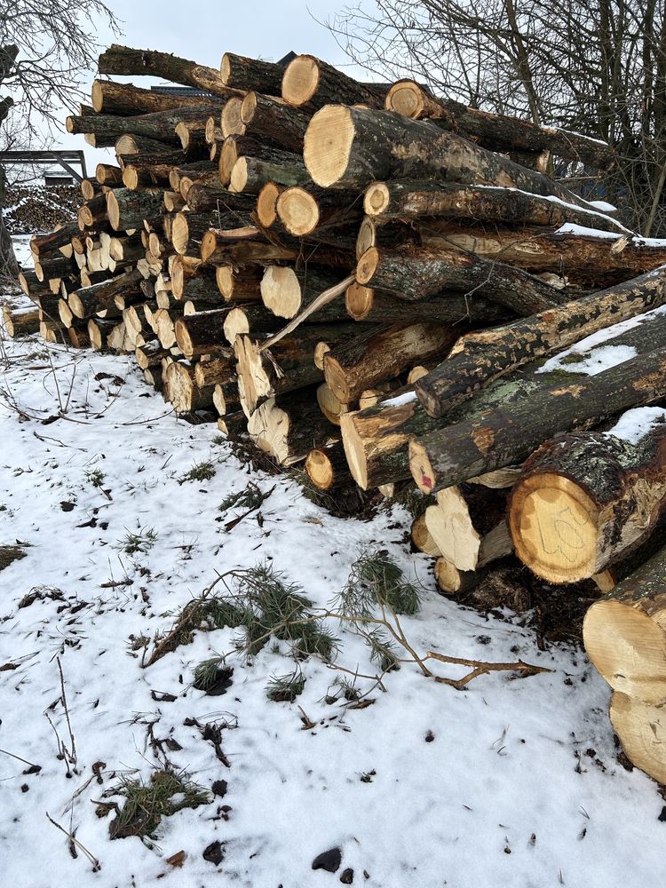 Drzewo opałowe kominkowe podpałkowe