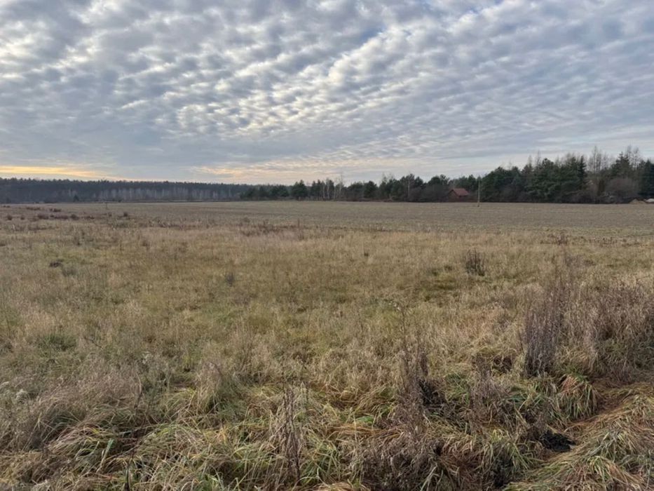 Działka budowlana 2311 m2