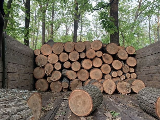Дубовые дрова по низкой цене на прямую с лесничества