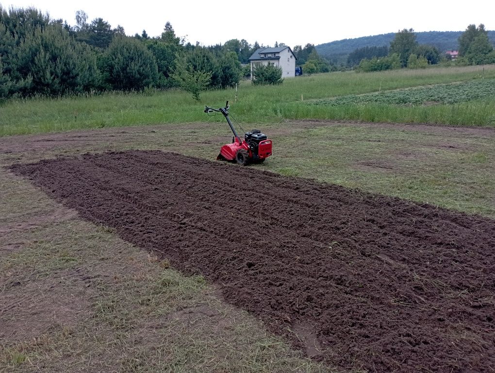 Wynajem glebogryzarka Cedrus (możliwość zmiany kierunku noży)